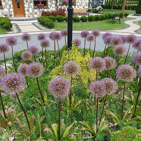 Willa Pod Kozincem Czarna Gora Ngoại thất bức ảnh